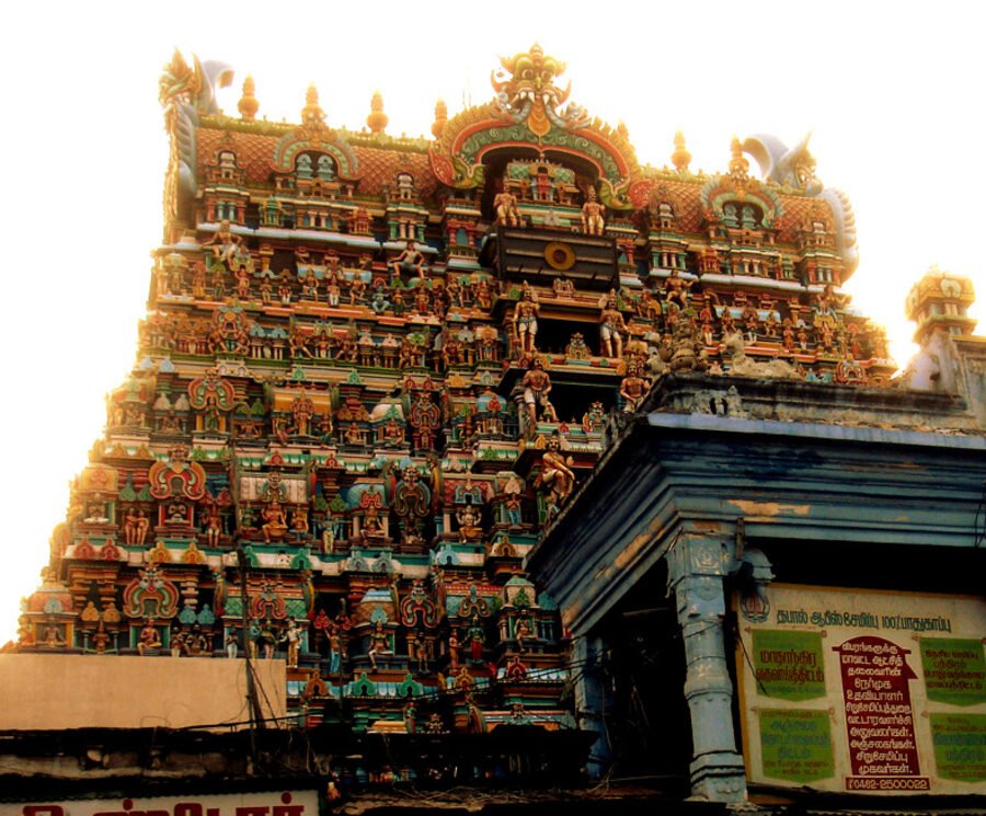 Temple Worship Guidance for Doshas